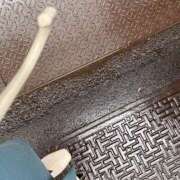 ヒメ日記 2025/04/01 12:22 投稿 ゆり ベイビーモコ