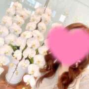 ヒメ日記 2025/04/16 13:40 投稿 ゆり ベイビーモコ