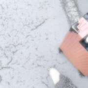 ヒメ日記 2025/04/20 11:58 投稿 ゆり ベイビーモコ