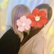 ヒメ日記 2025/04/30 22:10 投稿 ゆり ベイビーモコ