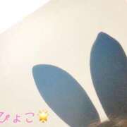 ヒメ日記 2025/05/15 19:45 投稿 ゆり ベイビーモコ