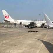 ヒメ日記 2025/05/20 09:35 投稿 ゆり ベイビーモコ