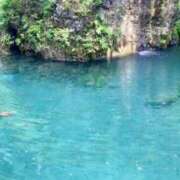 ヒメ日記 2025/06/27 13:46 投稿 ゆり ベイビーモコ