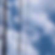 ヒメ日記 2025/10/30 09:57 投稿 ゆり ベイビーモコ