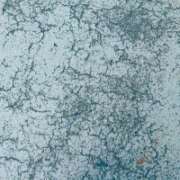 ヒメ日記 2025/11/08 14:14 投稿 ゆり ベイビーモコ