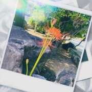 ヒメ日記 2025/11/08 18:07 投稿 ゆり ベイビーモコ