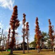 ヒメ日記 2025/12/08 15:24 投稿 ゆり ベイビーモコ