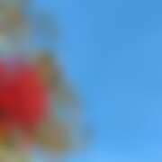 ヒメ日記 2025/12/12 22:55 投稿 ゆり ベイビーモコ