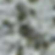 ヒメ日記 2025/12/14 14:32 投稿 ゆり ベイビーモコ