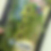 ヒメ日記 2026/01/08 12:08 投稿 ゆり ベイビーモコ