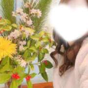 ヒメ日記 2026/01/16 17:49 投稿 ゆり ベイビーモコ