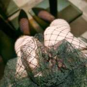 ヒメ日記 2026/01/23 14:26 投稿 ゆり ベイビーモコ