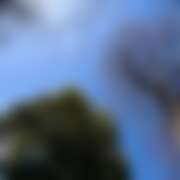 ヒメ日記 2026/02/21 04:08 投稿 ゆり ベイビーモコ