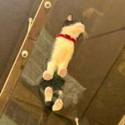 ヒメ日記 2026/02/22 09:24 投稿 ゆり ベイビーモコ