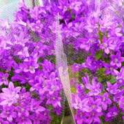 ヒメ日記 2026/02/23 15:38 投稿 ゆり ベイビーモコ