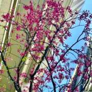 ヒメ日記 2026/03/03 20:05 投稿 ゆり ベイビーモコ