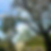 ヒメ日記 2026/04/09 12:40 投稿 ゆり ベイビーモコ