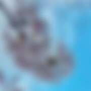 ヒメ日記 2026/04/13 01:26 投稿 ゆり ベイビーモコ