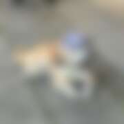 ヒメ日記 2026/04/22 06:40 投稿 ゆり ベイビーモコ