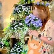 ヒメ日記 2026/04/27 17:58 投稿 ゆり ベイビーモコ