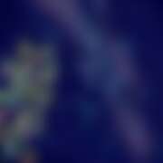 ヒメ日記 2026/07/08 01:53 投稿 ゆり ベイビーモコ