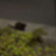 ヒメ日記 2026/07/20 23:49 投稿 ゆり ベイビーモコ