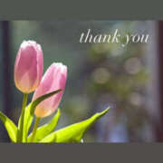 あおい ヘブンズドアのお兄さま 人妻洗体倶楽部