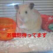 ヒメ日記 2025/10/06 10:59 投稿 まこ 熟女の風俗最終章 新潟店