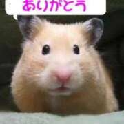 まこ 今日と明日の予約 熟女の風俗最終章 新潟店