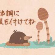 まこ 今年も 熟女の風俗最終章 新潟店