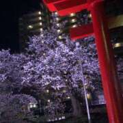 ヒメ日記 2025/04/12 22:21 投稿 なぐも 奥様特急長岡店