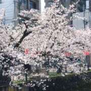 ヒメ日記 2025/04/16 18:21 投稿 なぐも 奥様特急長岡店