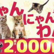 ヒメ日記 2025/02/21 12:44 投稿 愛星【あいほし】 丸妻 西船橋店