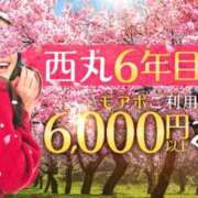 ヒメ日記 2025/03/13 21:38 投稿 愛星【あいほし】 丸妻 西船橋店