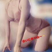 ヒメ日記 2025/04/09 09:31 投稿 るる One More奥様　横浜関内店