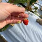 ヒメ日記 2025/04/10 20:01 投稿 るる One More奥様　横浜関内店