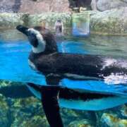 ヒメ日記 2025/05/26 09:18 投稿 るる One More奥様　横浜関内店