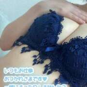 ヒメ日記 2025/01/09 16:35 投稿 タマキ 京都ホテヘル倶楽部