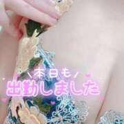 ヒメ日記 2025/02/26 12:06 投稿 タマキ 京都ホテヘル倶楽部