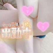 ヒメ日記 2025/03/02 12:05 投稿 タマキ 京都ホテヘル倶楽部