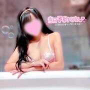 ヒメ日記 2024/12/27 17:15 投稿 あいら スチュワーデス