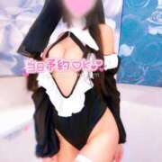 ヒメ日記 2026/04/01 15:30 投稿 あいら スチュワーデス