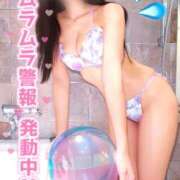 ヒメ日記 2026/08/14 19:00 投稿 あいら スチュワーデス