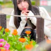 ヒメ日記 2025/04/08 12:23 投稿 じゅん 蒲田ウルトラギャラクシー