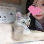 ヒメ日記 2025/09/30 20:07 投稿 じゅん 蒲田ウルトラギャラクシー