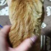 ヒメ日記 2026/03/30 12:02 投稿 じゅん 蒲田ウルトラギャラクシー