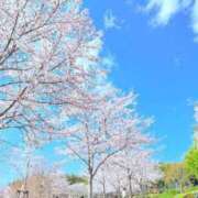 ヒメ日記 2025/04/09 09:06 投稿 みさ チューリップ姫路店