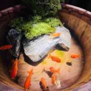 ヒメ日記 2025/04/10 09:03 投稿 みさ チューリップ姫路店