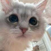 ヒメ日記 2025/08/26 09:11 投稿 みさ チューリップ姫路店