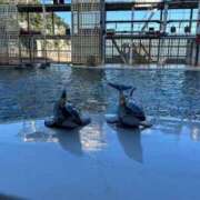 ヒメ日記 2025/10/13 12:50 投稿 みさ チューリップ姫路店